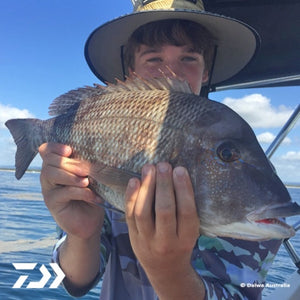 Fan gallery #3376