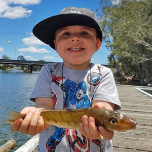 Fan gallery #29