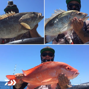 Fan gallery #3470