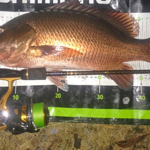 Fan gallery #303