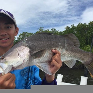 Fan gallery #212
