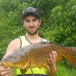 Fan gallery #2