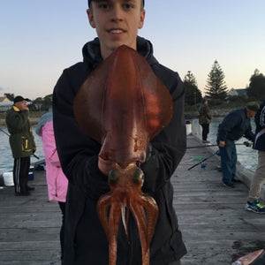 Fan gallery #3447