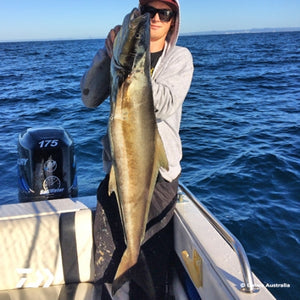 Fan gallery #3579