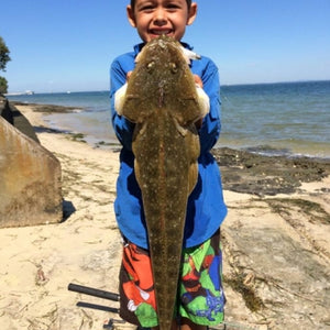 Fan gallery #3758