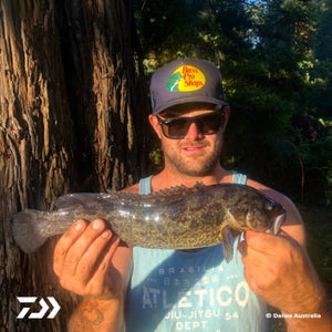 Fan gallery #311