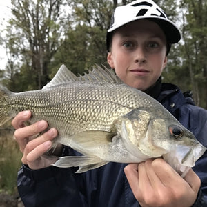Fan gallery #3580