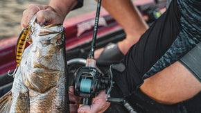 A Beginners Guide to Barra Tackle