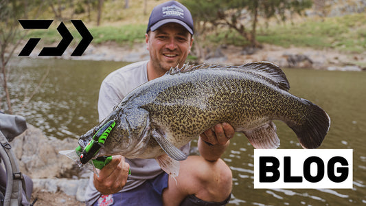 Murray Cod Open Season – Jacko Davis