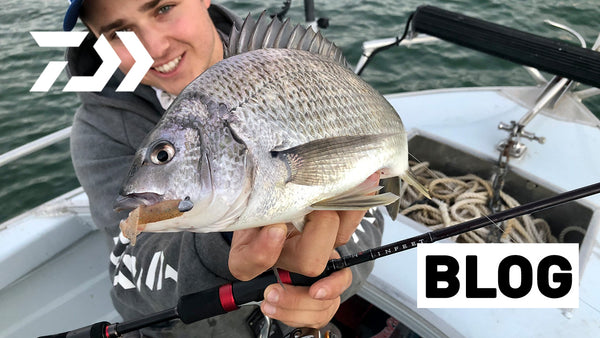 Product Review- Infeet Z 732LFS – Daiwa Australia