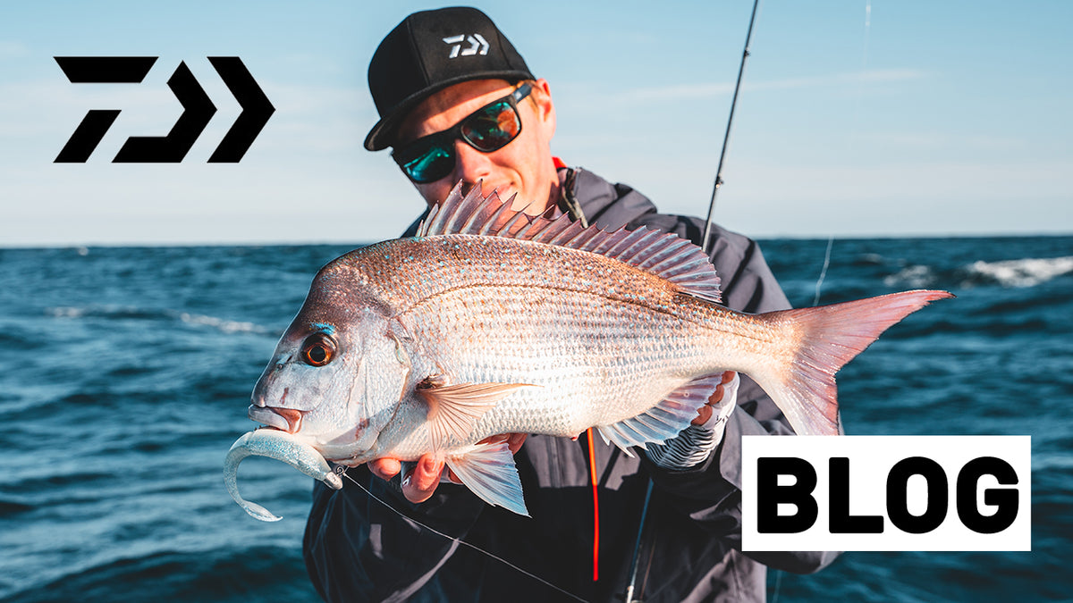 Lures For Snapper, Softplastics and Jig Heads