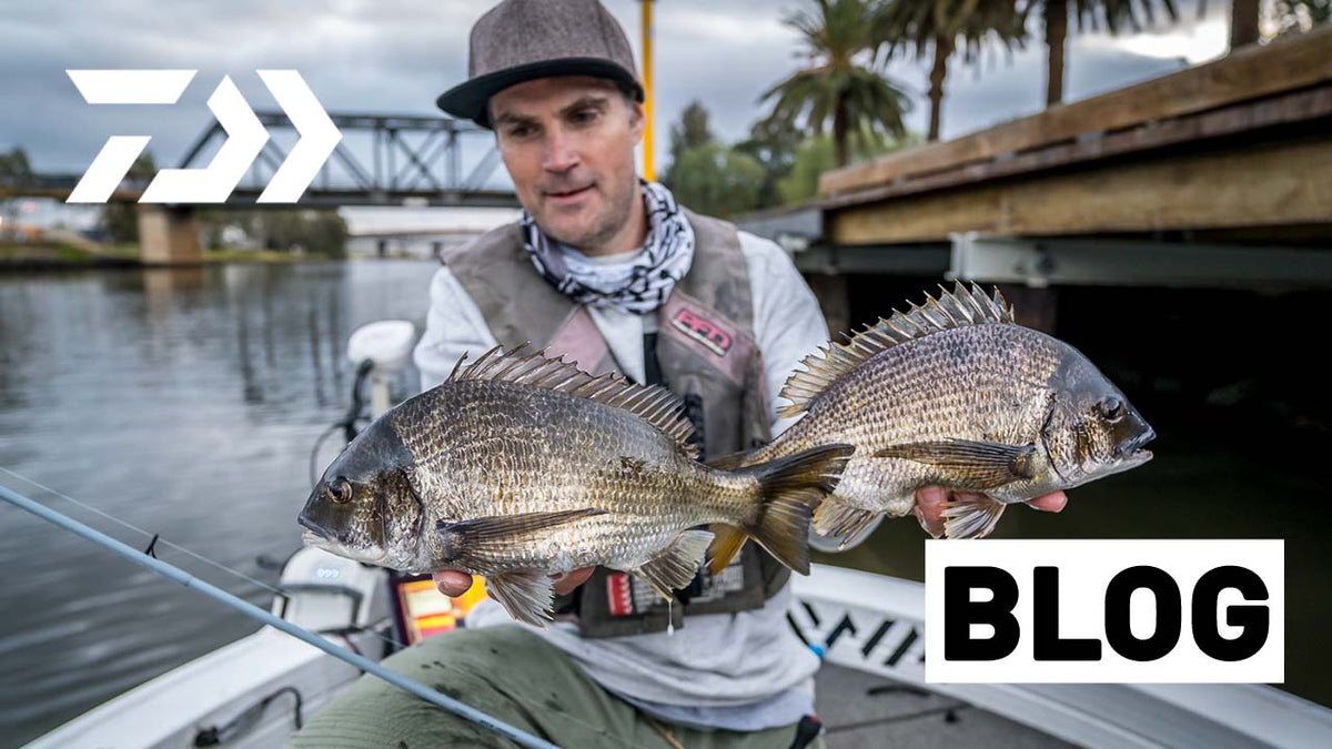 The perfect bream fishing rig