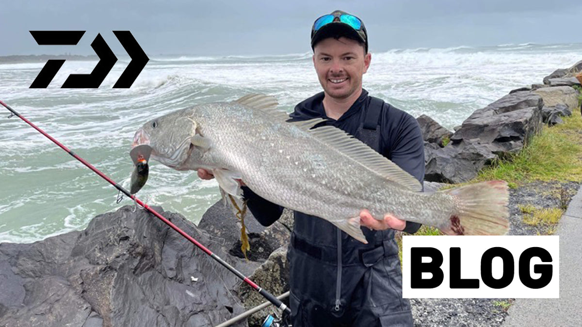 My Rod and Reels for Chasing Mulloway Daiwa Australia