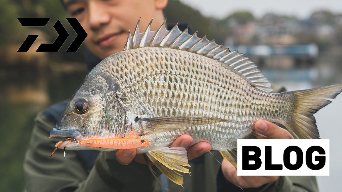 How to Catch Bream on Infeet Slippery Dog Surface Lures – Daiwa Australia