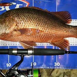 Fan gallery #216