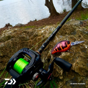 Fan gallery #3468