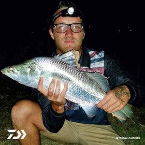 Fan gallery #301