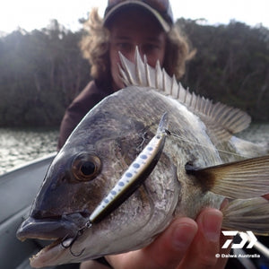 Fan gallery #3400