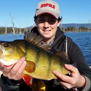 Fan gallery #41