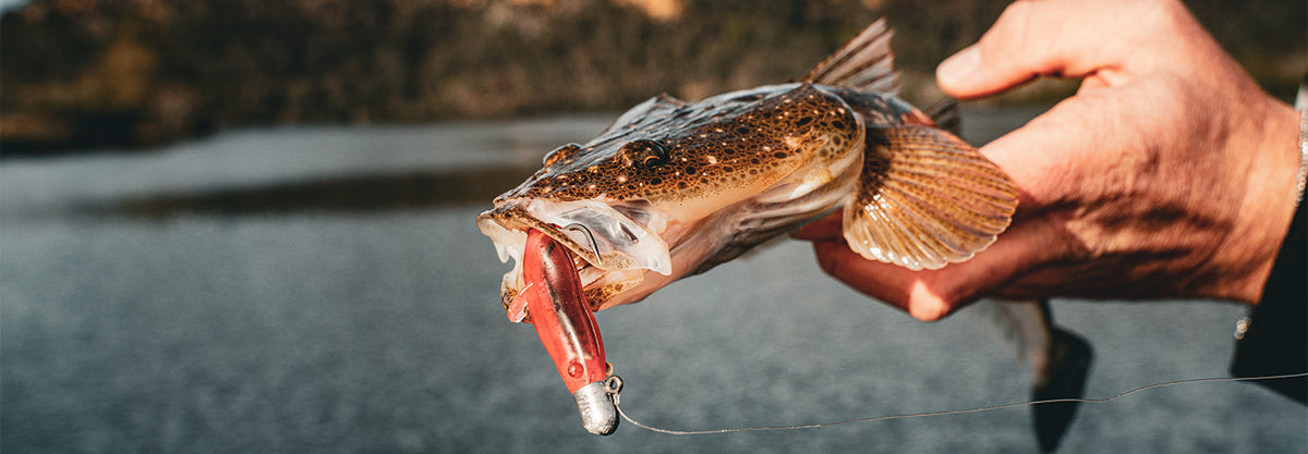 Bait Junkie Lures