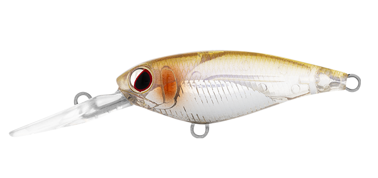 http://daiwafishing.com.au/cdn/shop/files/DAIWAINFEETKODACHI40SF_0006_DAIWA-INFEET-KODACHI-40SF-ADEL-RICE-FISH_750x.png?v=1691031434
