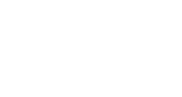 T-WING SYSTEM
