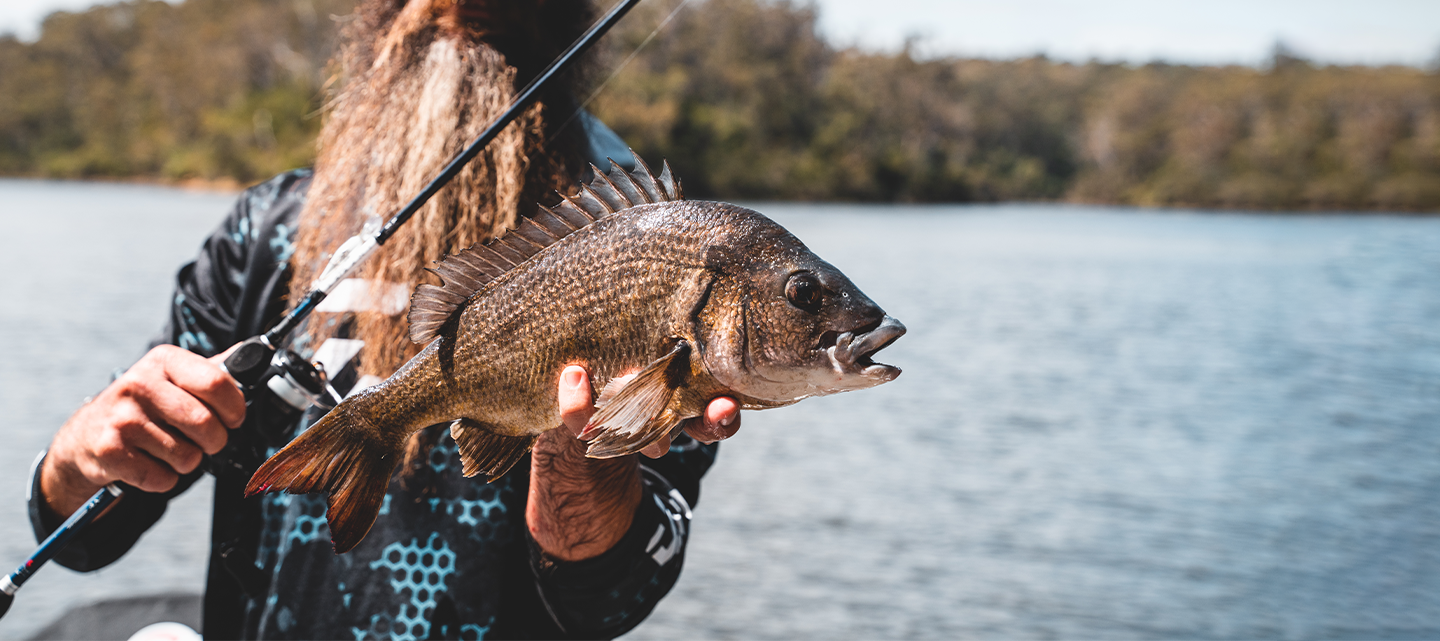 DOMINATE YOUR ESTUARY