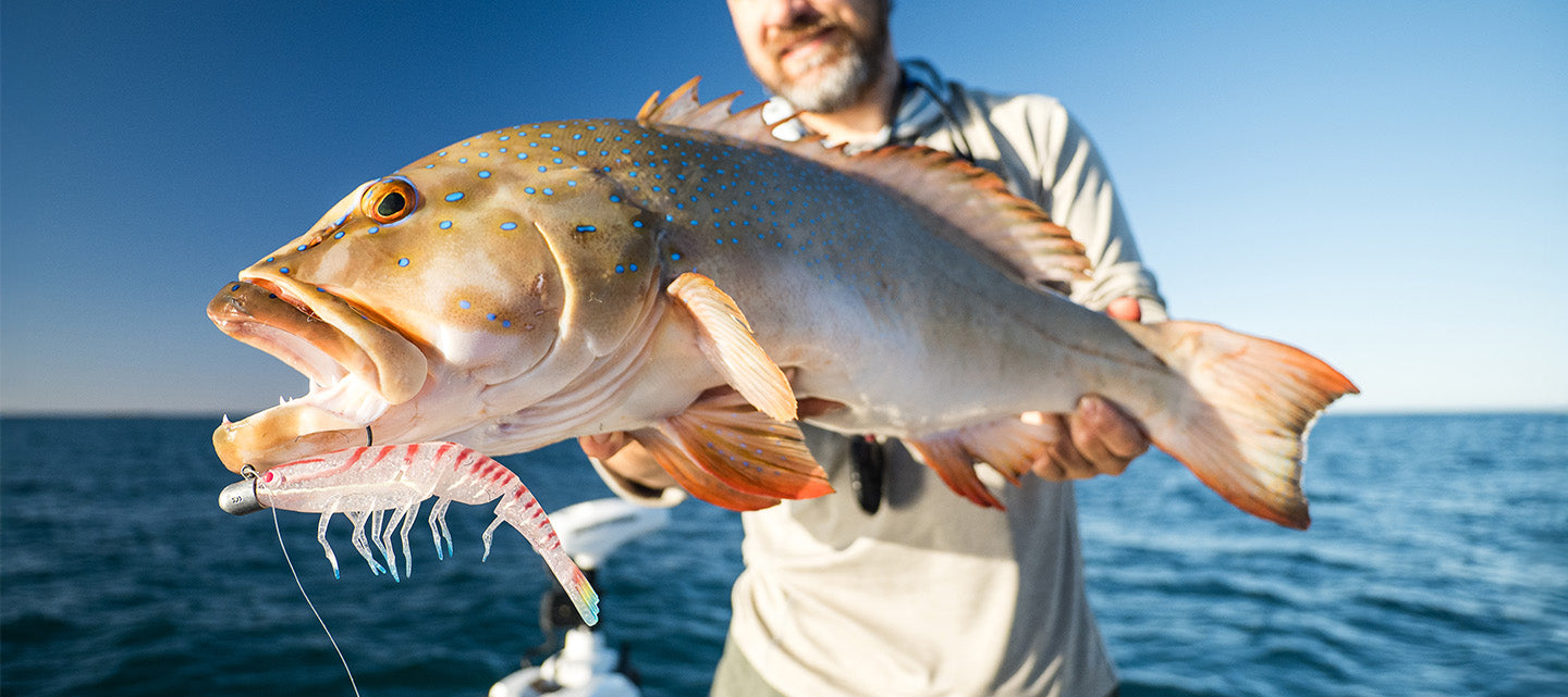 Saltwater Dominance