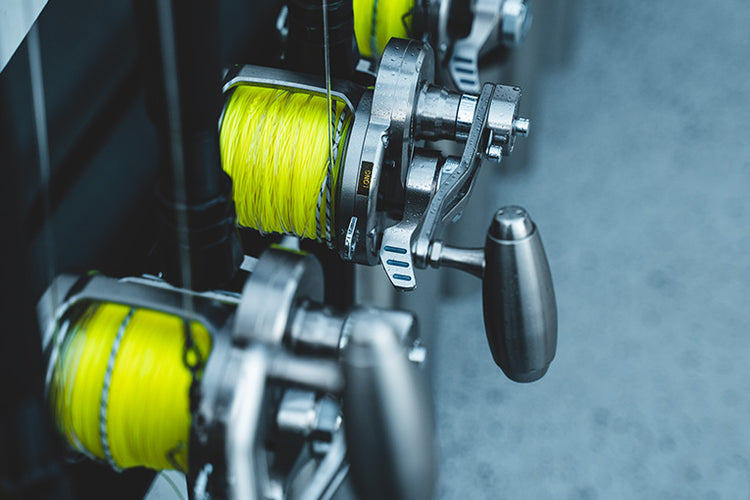 Gallery Main Image 2