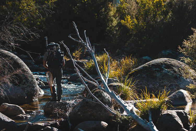 Gallery Main Image 1