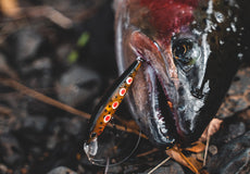 Gallery Thumb Image 3