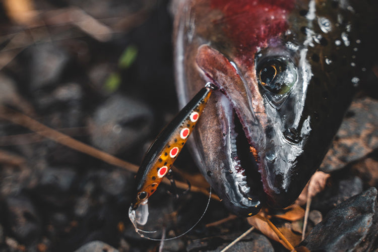 Gallery Main Image 3