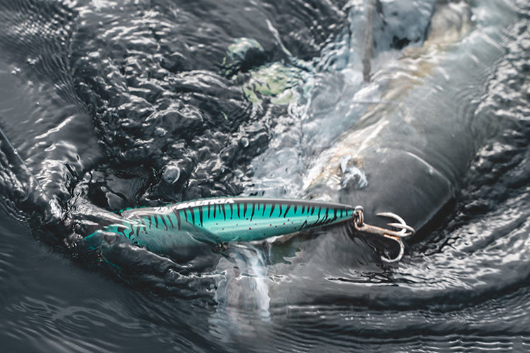 Gallery Main Image 4