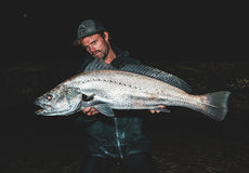 Gallery Thumb Image 2