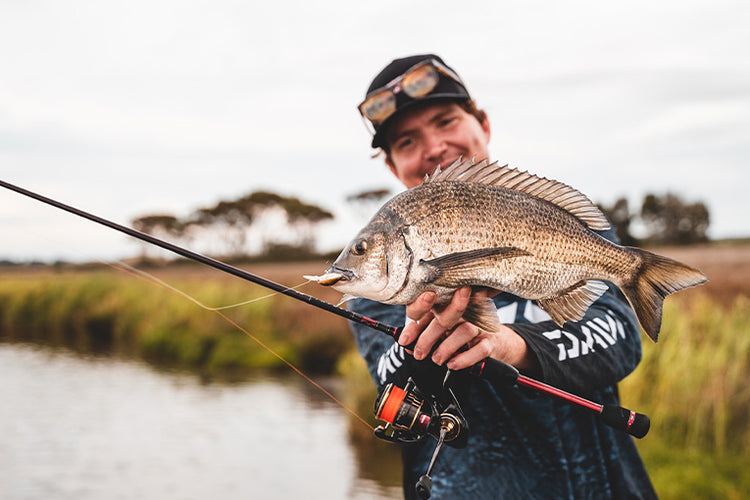 Gallery Main Image 2