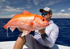 Gallery Thumb Image 1