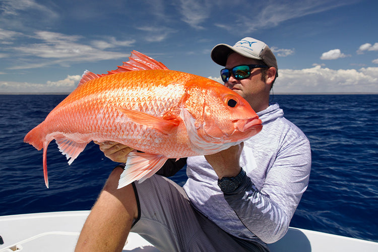 Gallery Main Image 1