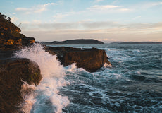 Gallery Thumb Image 1