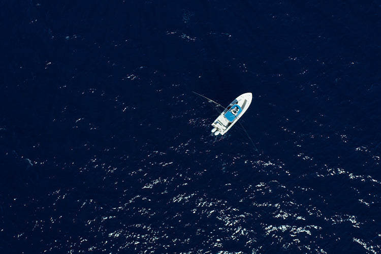 Gallery Main Image 3