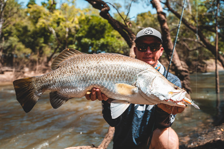 Gallery Main Image 4