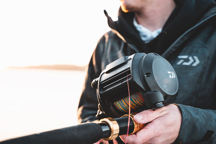 Gallery Main Image 2