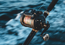 Gallery Thumb Image 4