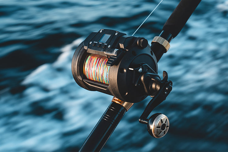 Gallery Main Image 4