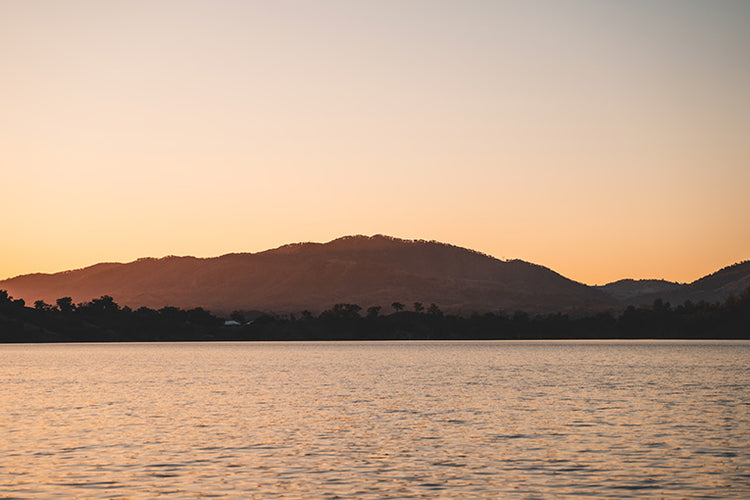 Gallery Main Image 1