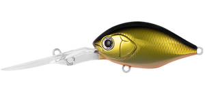 INFEET MONSTER ROLLIN’ BLACK GOLD