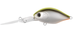 INFEET MONSTER ROLLIN’ CRANK CHART BACK