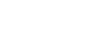 T-WING SYSTEM