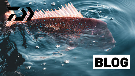 CATCH AND RELEASE TECHNIQUES: ENHANCING FISH HANDLING FOR RESPONSIBLE ANGLERS IN AUSTRALIA