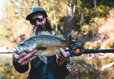 Gallery Thumb Image 3