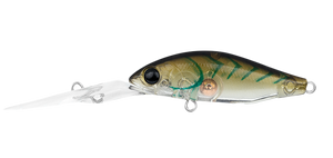 INFEET SPIKE 44EXDR BLUE SUJI PRAWN